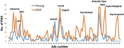 Directed functional connectivity of the sensorimotor system in young and older individuals
